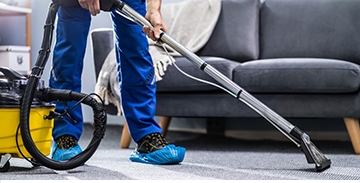 Why You Should Ask Specialised Carpet Cleaners in Wellington After Holidays